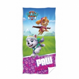 PAW162051