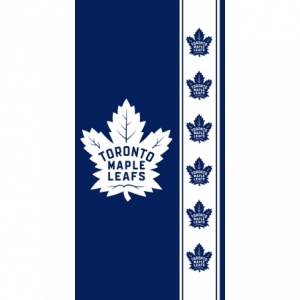 MAPLELEAFS201004