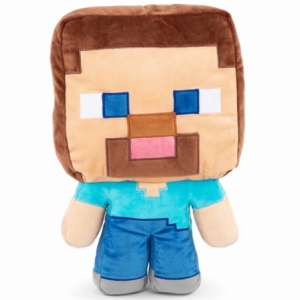 STEVE