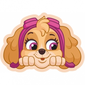 PAW201063