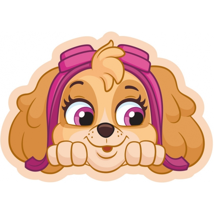 PAW201063