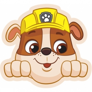 PAW201062