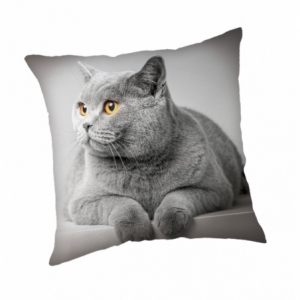 GREYCAT