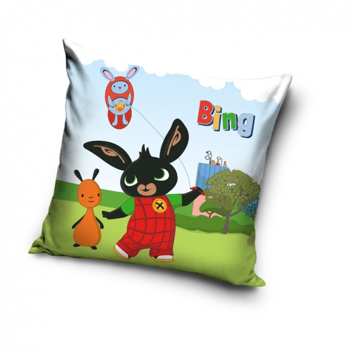 BING223019 BING223019