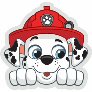 PAW201064