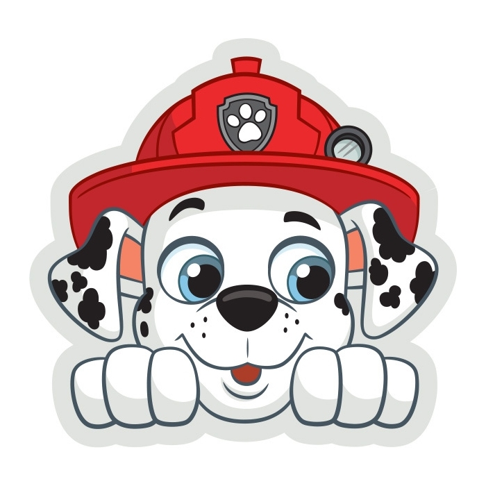 PAW201064