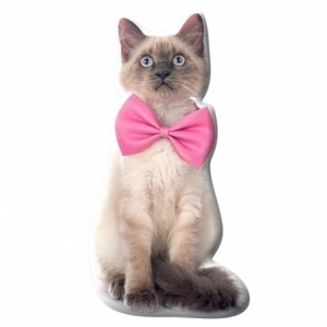 Kot Syjamski KSZTCAT02