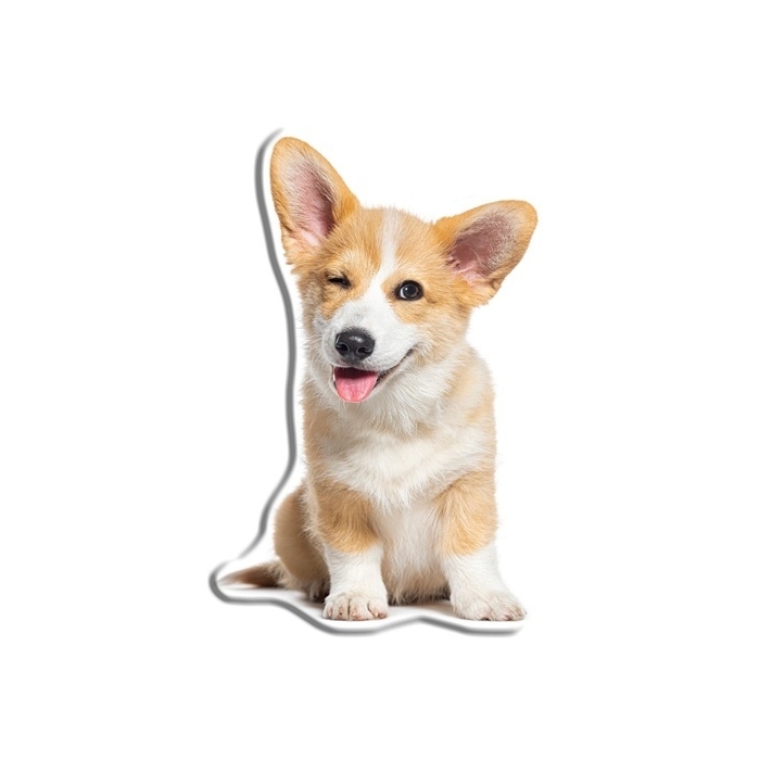 Pies Corgi KSZTDOG02