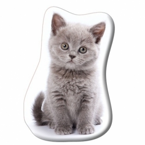 Szary Kotek KSZTCAT03