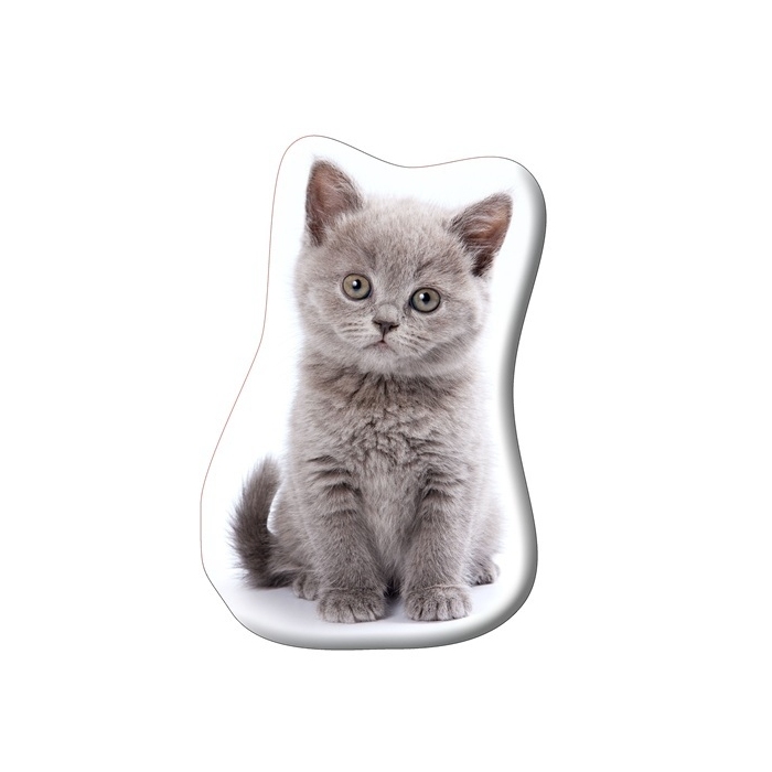 Szary Kotek KSZTCAT03