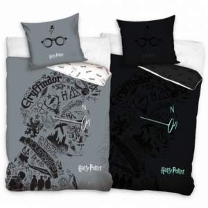 Harry Potter HP213009