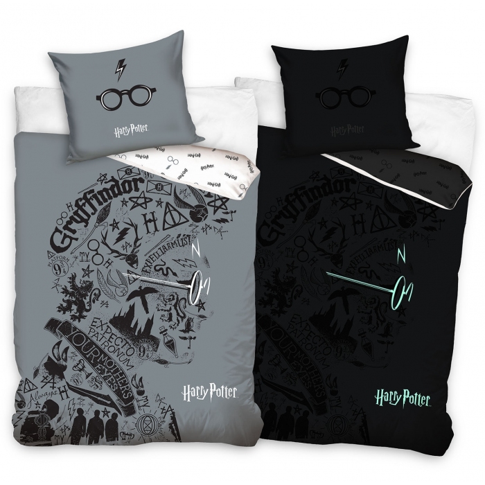 Harry Potter HP213009